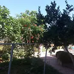 Daire Sarah Do 8 Osoba Biograd Na Moru