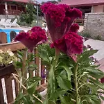 Sarah Do 8 Osoba * Biograd Na Moru