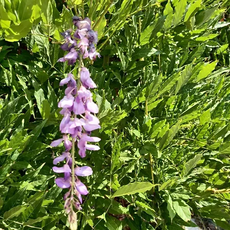 Apartman Sarah Do 8 Osoba