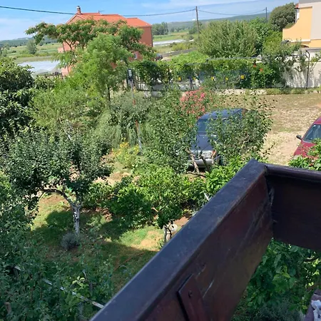 Sarah Do 8 Osoba Biograd Na Moru