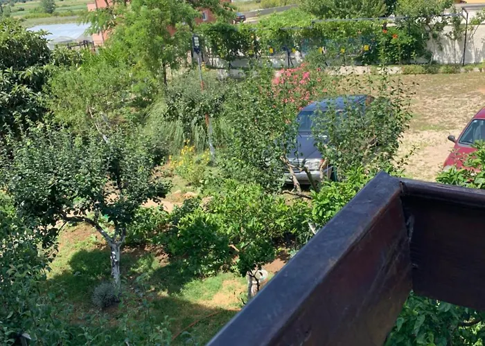 Sarah Do 8 Osoba Biograd Na Moru