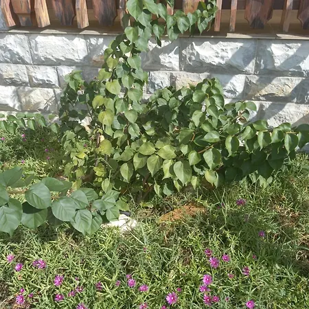 아파트 Sarah Do 8 Osoba *