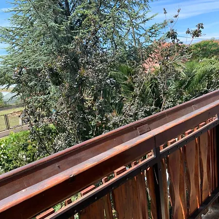 Sarah Do 8 Osoba * 비오그라드나모루