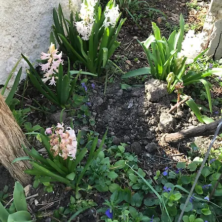 Sarah Do 8 Osoba 아파트 비오그라드나모루