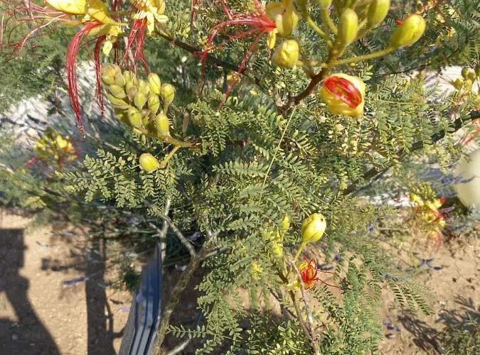 아파트 Sarah Do 8 Osoba