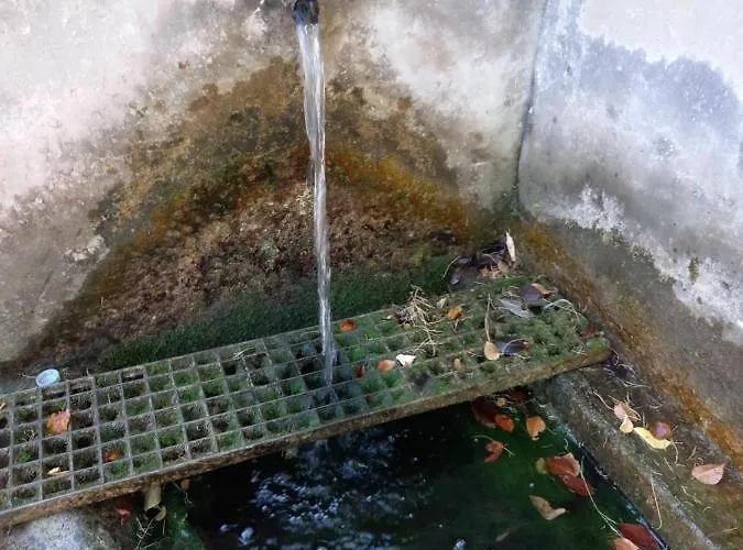 Sarah Do 8 Osoba 아파트