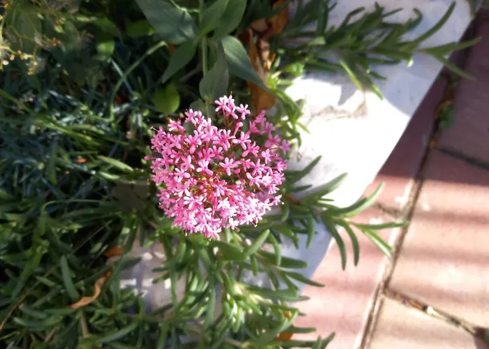 Sarah Do 8 Osoba 아파트 *