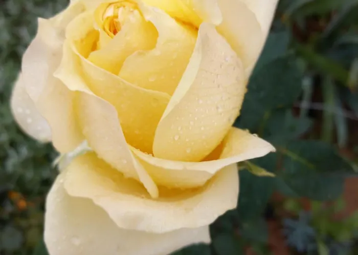 아파트 Sarah Do 8 Osoba *