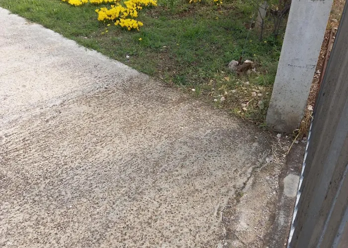 Sarah Do 8 Osoba * 비오그라드나모루