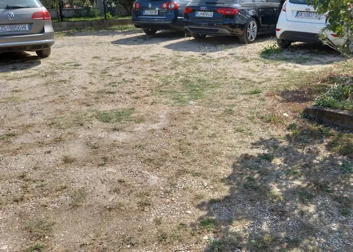 Sarah Do 8 Osoba * 비오그라드나모루