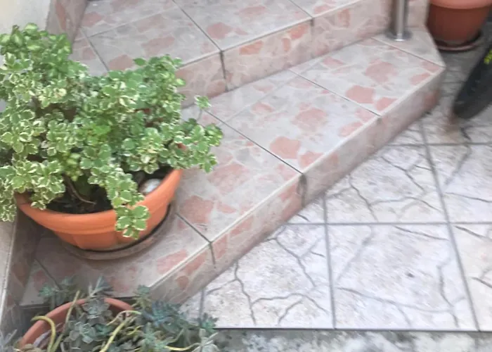 Sarah Do 8 Osoba * 비오그라드나모루