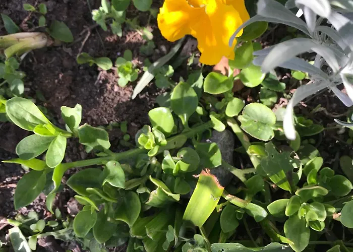 아파트 Sarah Do 8 Osoba