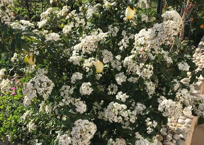 Sarah Do 8 Osoba 아파트 *