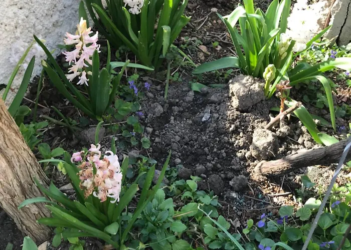 Sarah Do 8 Osoba 아파트 비오그라드나모루